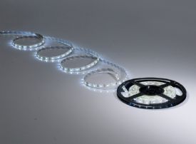 LED IP54 Strips Strip Lighting Techtouch IP44-IP54 Strip LED IP54 Strips Strip Lighting Techtouch IP44-IP54 Strip